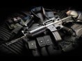 /album/galeria-de-fotos/a295armas-jpg/
